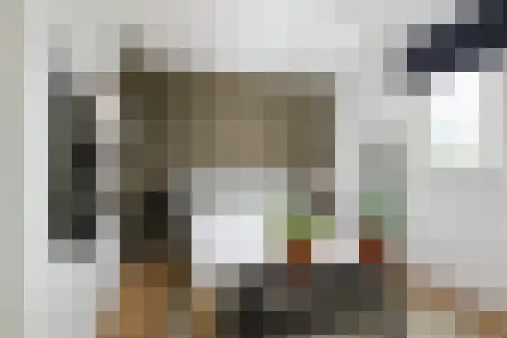 Ad van der Steurzoom 20 Bergschenhoek thumbnail 26