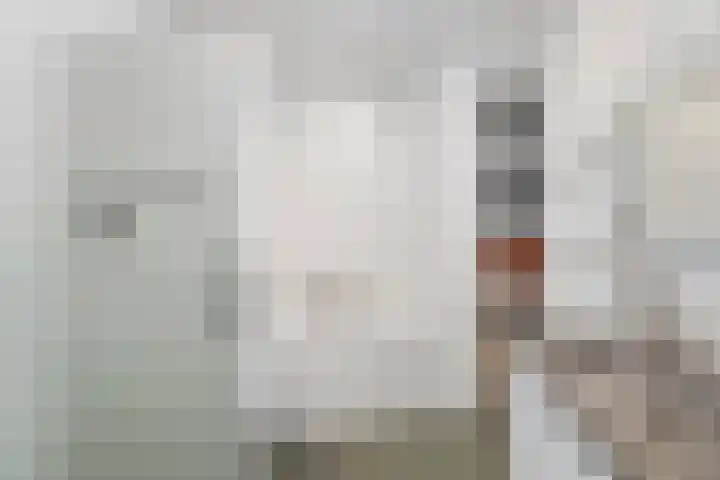 Ad van der Steurzoom 20 Bergschenhoek thumbnail 28