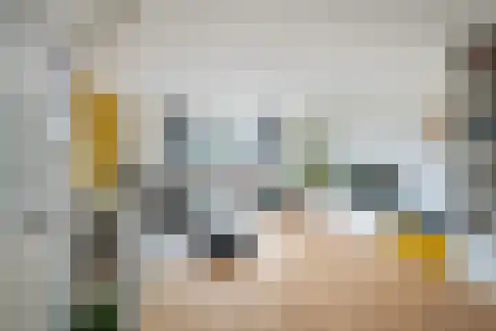 Ad van der Steurzoom 20 Bergschenhoek foto 3