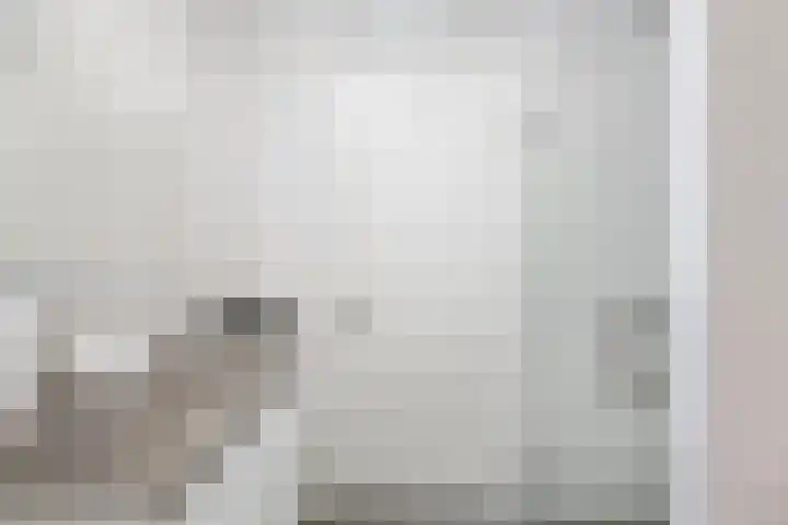 Ad van der Steurzoom 20 Bergschenhoek thumbnail 30