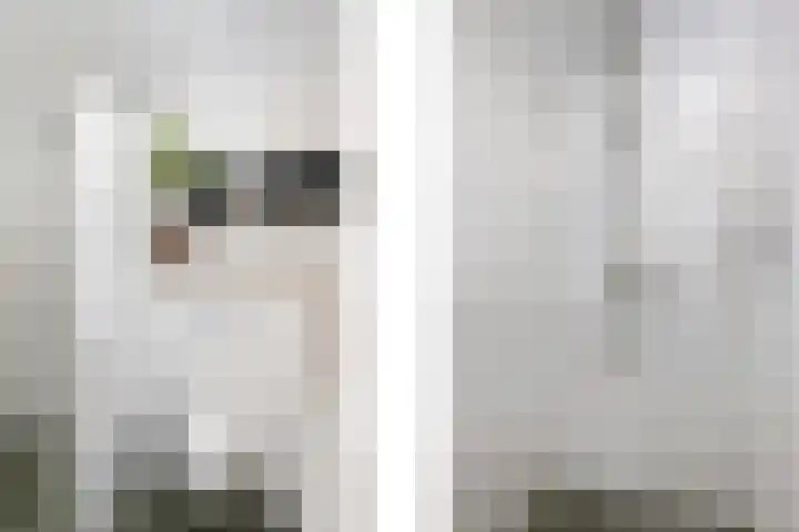 Ad van der Steurzoom 20 Bergschenhoek thumbnail 31