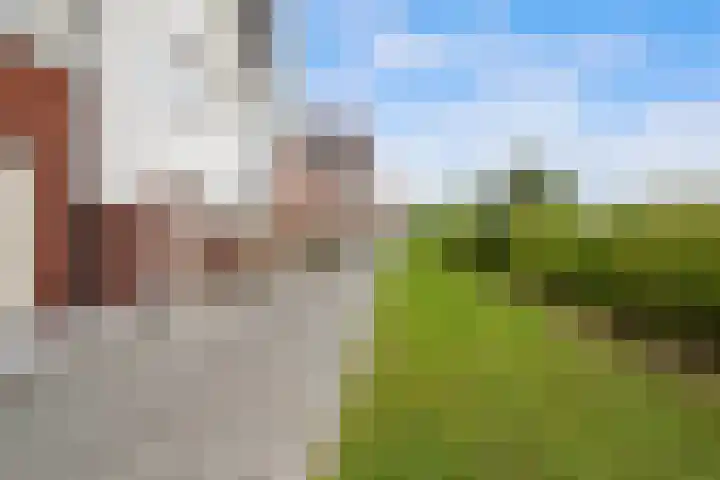 Ad van der Steurzoom 20 Bergschenhoek thumbnail 4