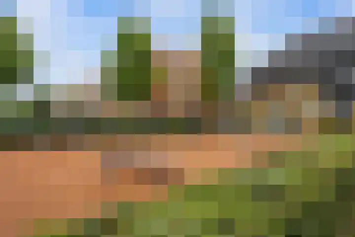 Ad van der Steurzoom 20 Bergschenhoek thumbnail 41