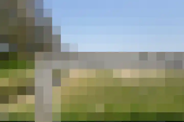 Ad van der Steurzoom 20 Bergschenhoek thumbnail 42