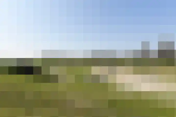 Ad van der Steurzoom 20 Bergschenhoek thumbnail 44