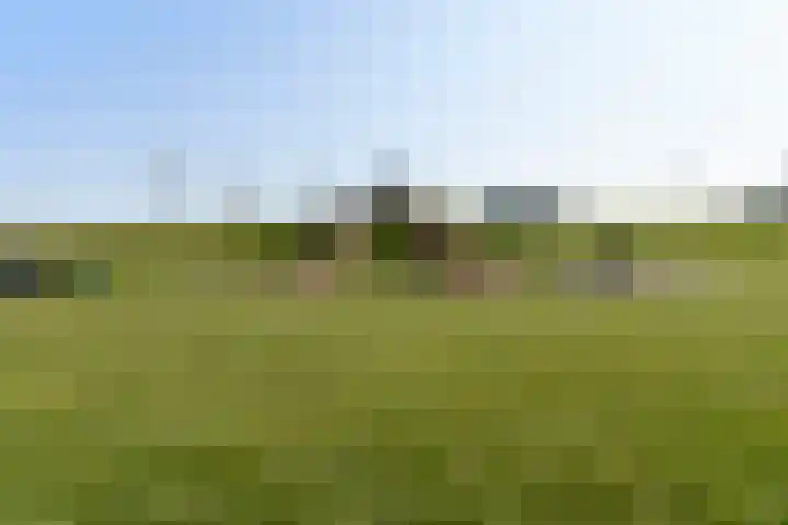 Ad van der Steurzoom 20 Bergschenhoek thumbnail 45