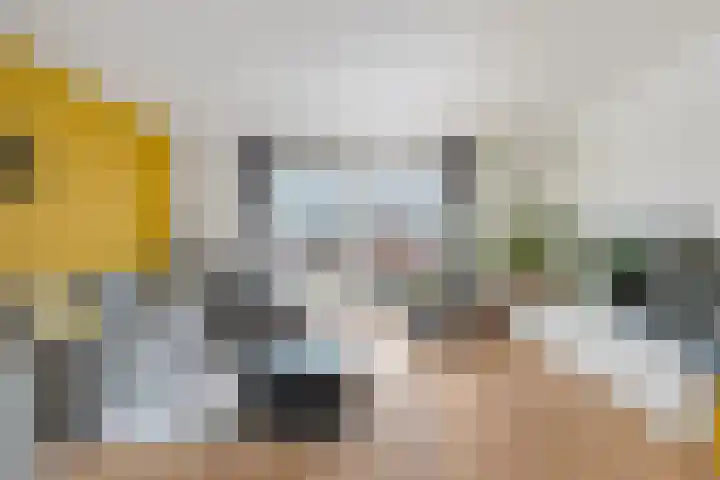 Ad van der Steurzoom 20 Bergschenhoek thumbnail 7
