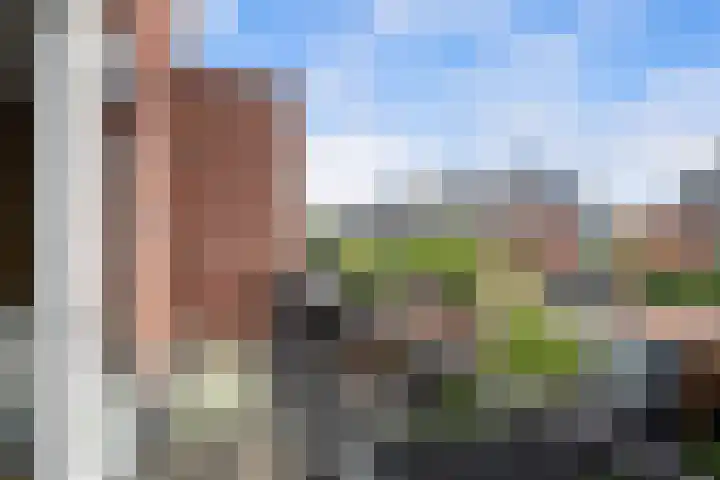 Ad van der Steurzoom 20 Bergschenhoek thumbnail 8