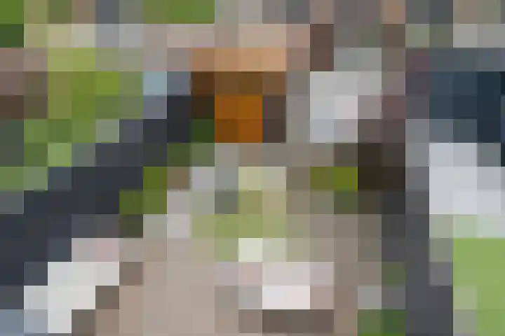 Ad van der Steurzoom 20 Bergschenhoek thumbnail 9