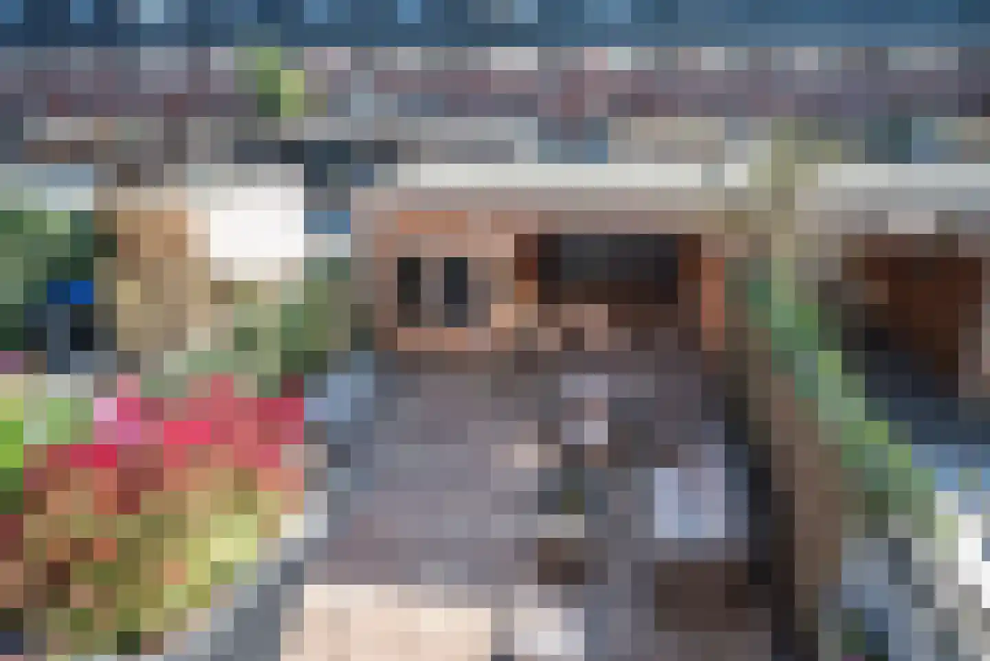 Ad van der Steurzoom 44 Bergschenhoek thumbnail 20
