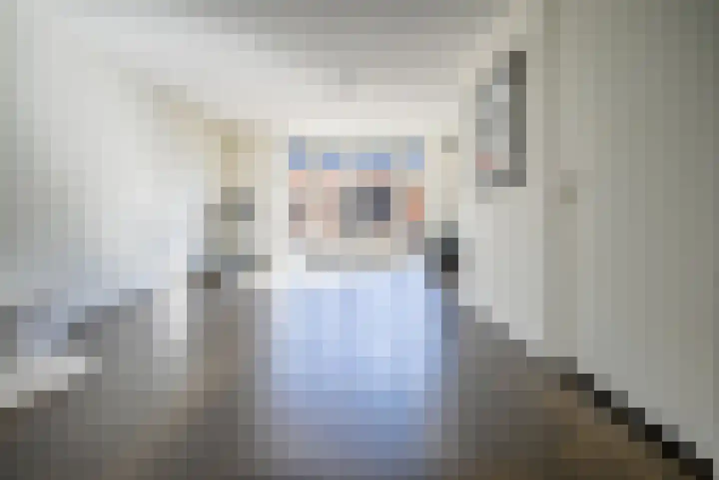 Ad van der Steurzoom 44 Bergschenhoek thumbnail 23