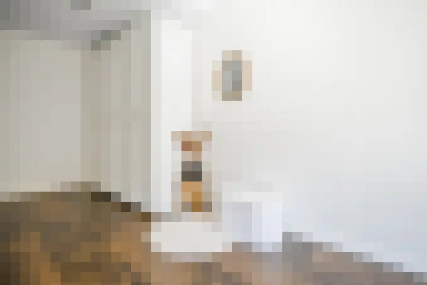 Ad van der Steurzoom 44 Bergschenhoek thumbnail 26