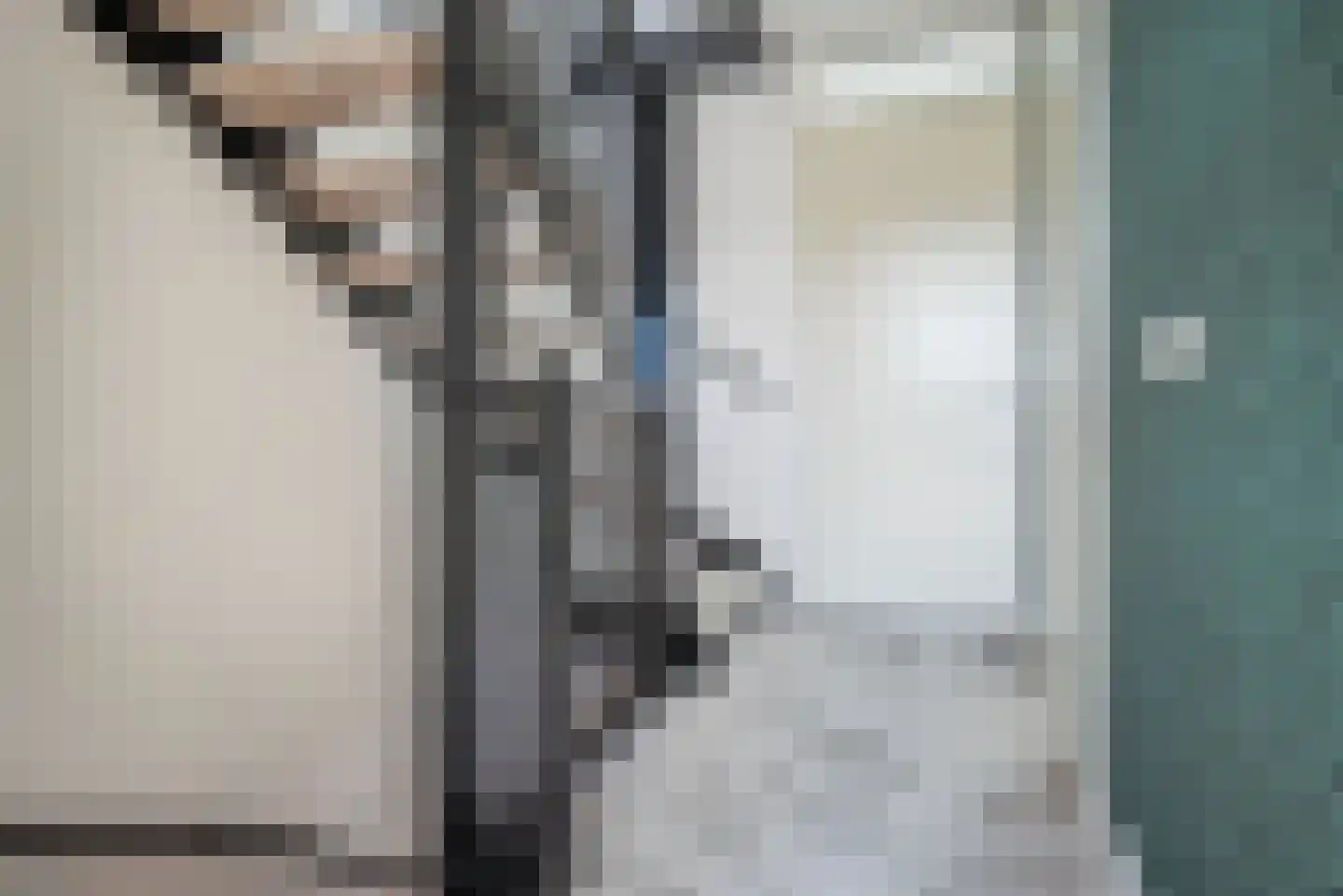 Ad van der Steurzoom 44 Bergschenhoek thumbnail 27