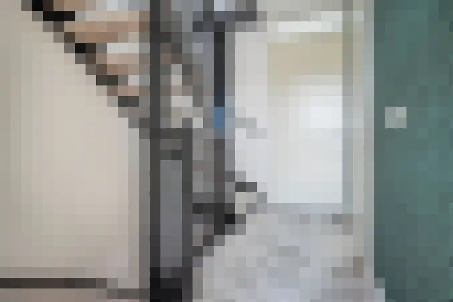 Ad van der Steurzoom 44 Bergschenhoek thumbnail 27