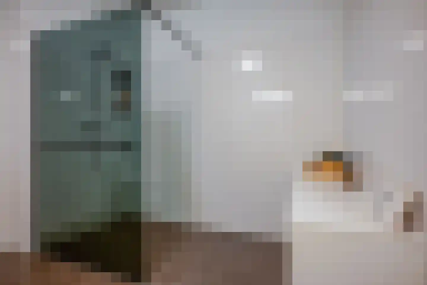 Ad van der Steurzoom 44 Bergschenhoek thumbnail 31