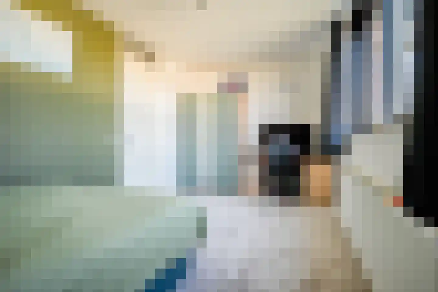 Ad van der Steurzoom 44 Bergschenhoek thumbnail 34