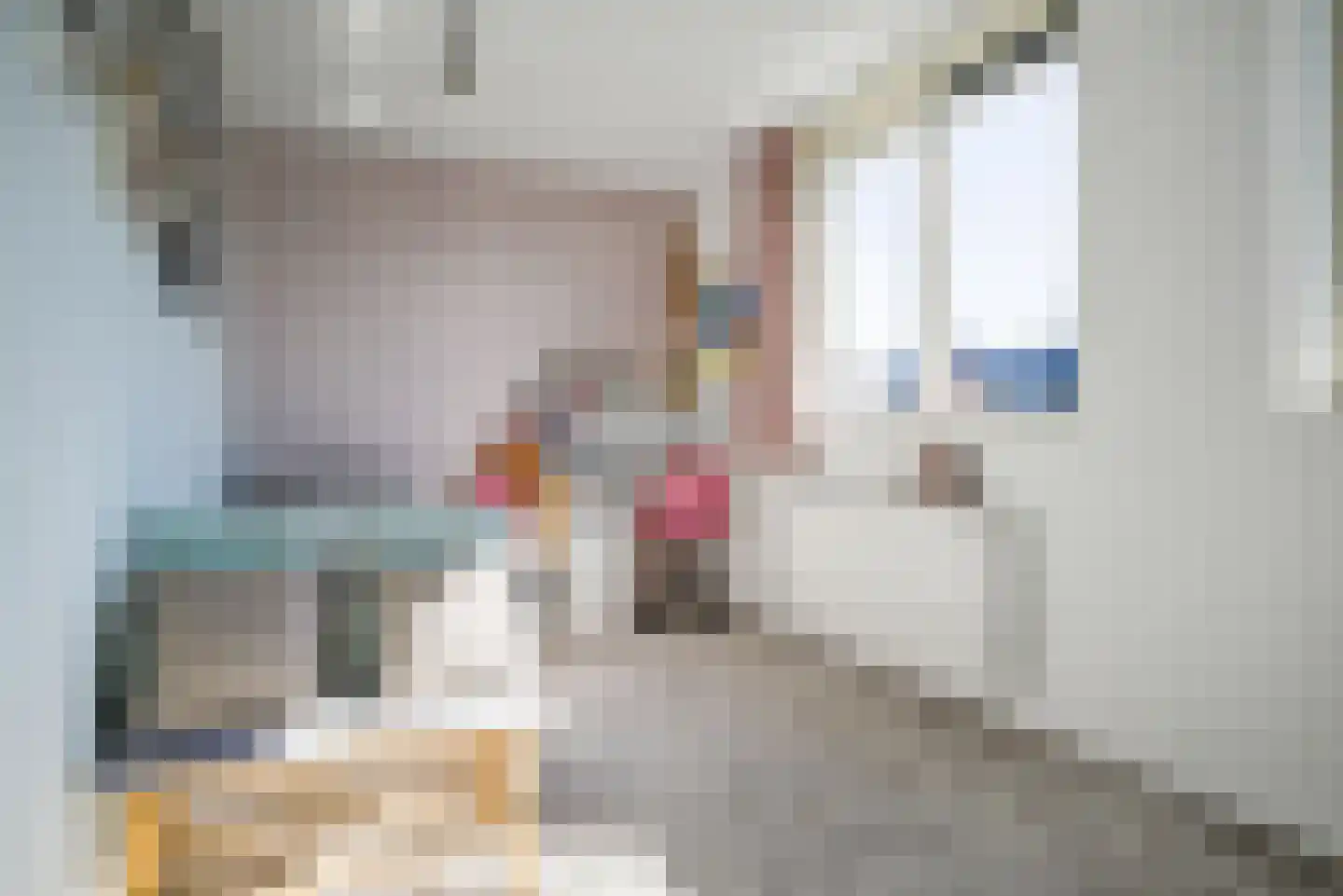 Ad van der Steurzoom 44 Bergschenhoek thumbnail 36