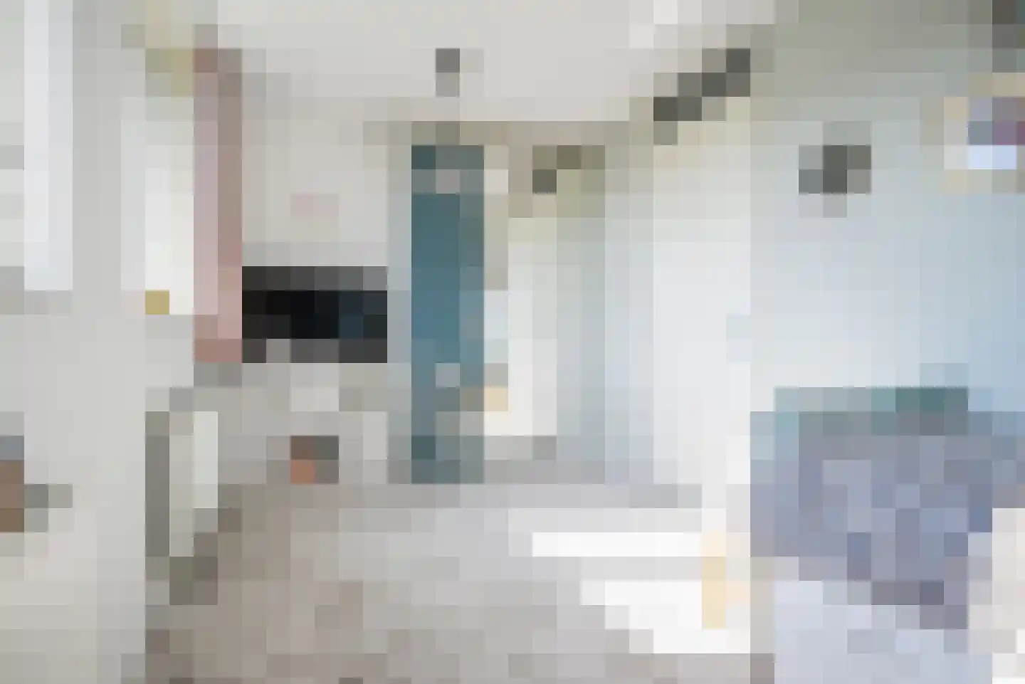 Ad van der Steurzoom 44 Bergschenhoek thumbnail 37