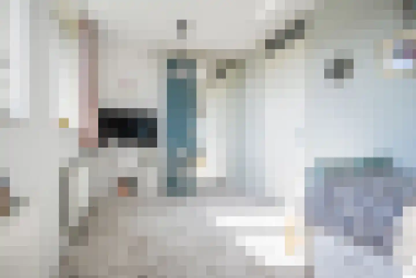 Ad van der Steurzoom 44 Bergschenhoek thumbnail 37
