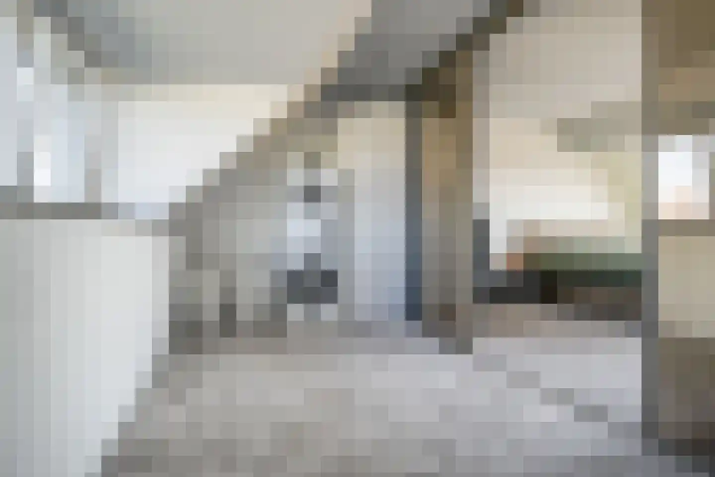 Ad van der Steurzoom 44 Bergschenhoek thumbnail 41