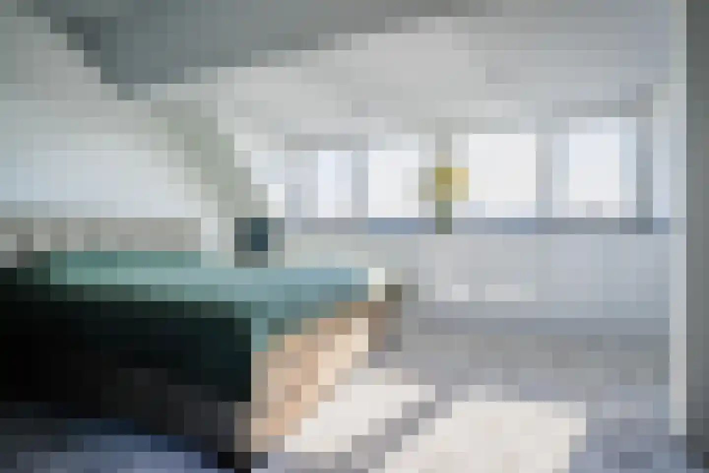 Ad van der Steurzoom 44 Bergschenhoek thumbnail 45
