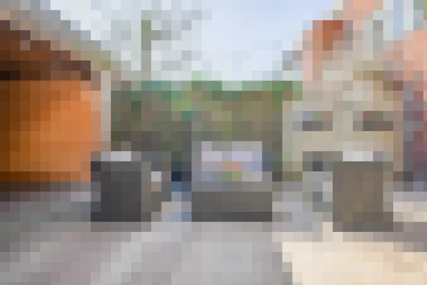 Ad van der Steurzoom 44 Bergschenhoek thumbnail 47
