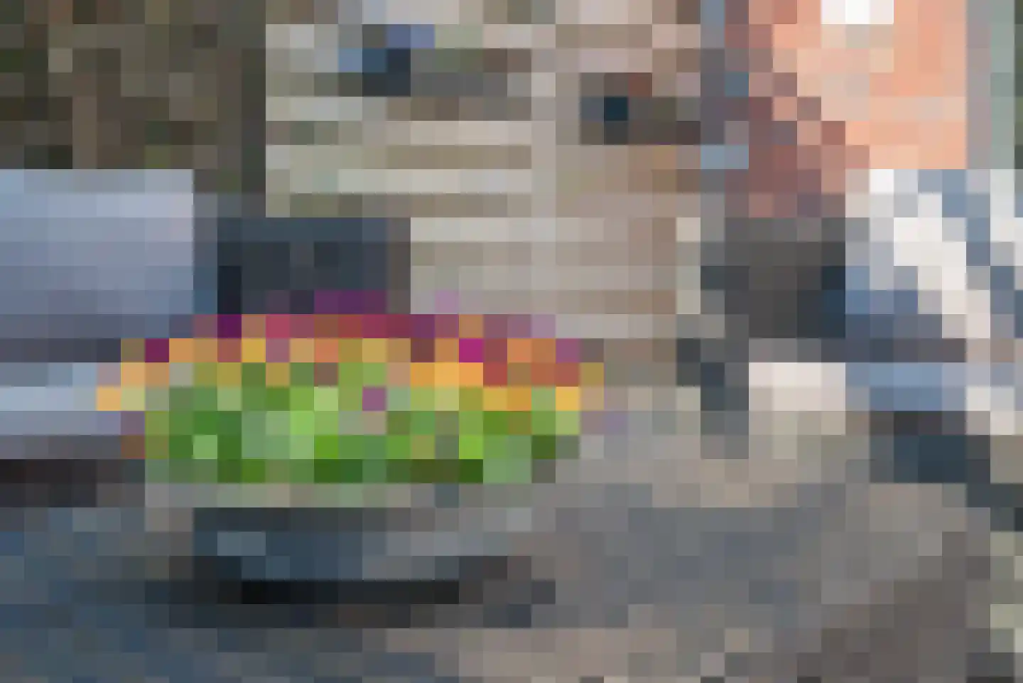 Ad van der Steurzoom 44 Bergschenhoek thumbnail 48