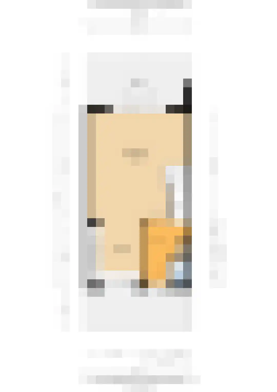 Ad van der Steurzoom 44 Bergschenhoek thumbnail 61