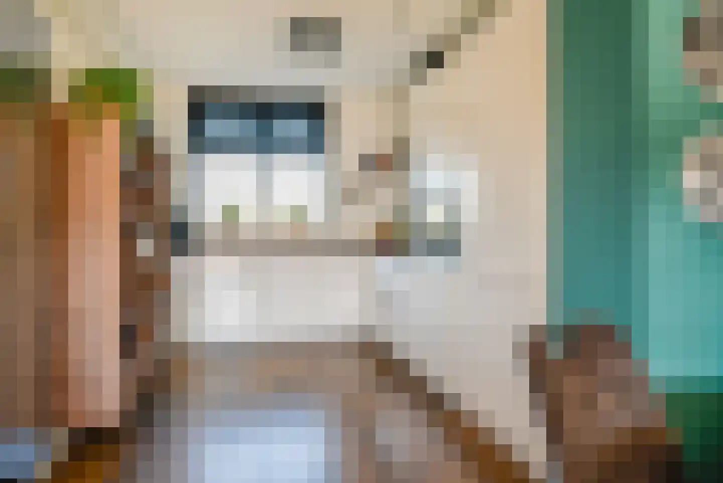 Ad van der Steurzoom 44 Bergschenhoek thumbnail 9