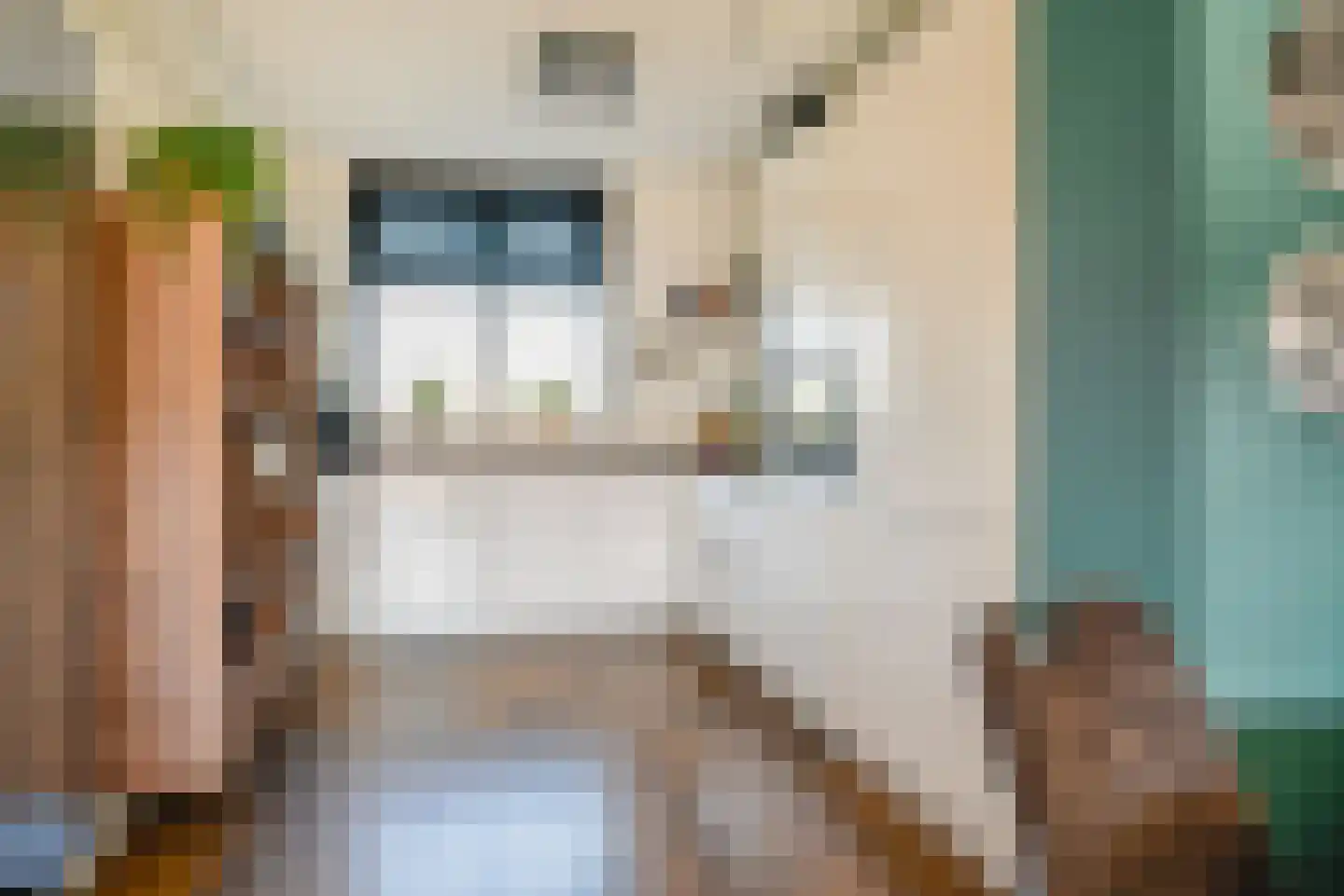 Ad van der Steurzoom 44 Bergschenhoek thumbnail 9