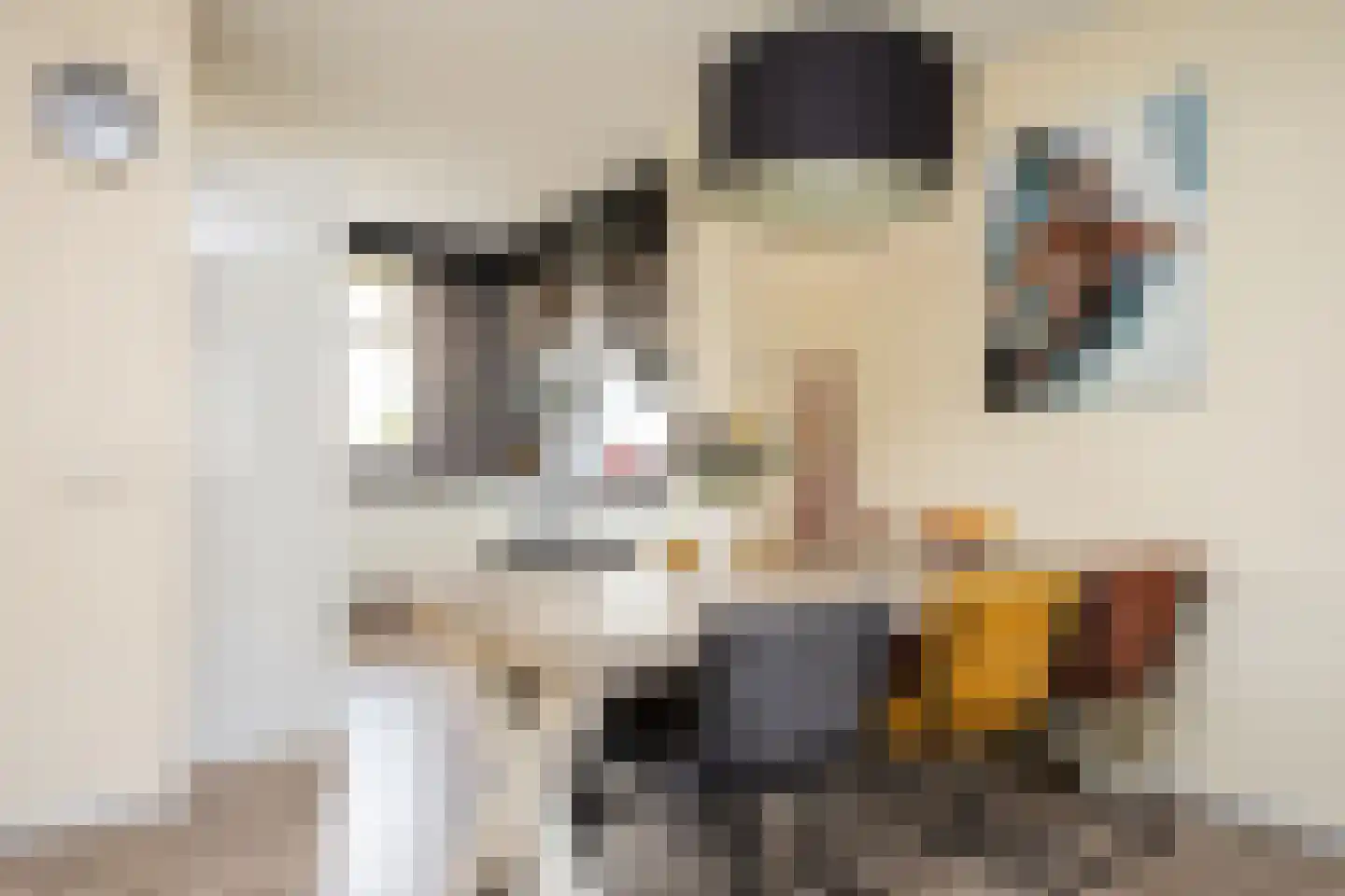 Ad van der Steurzoom 78 Bergschenhoek thumbnail 14