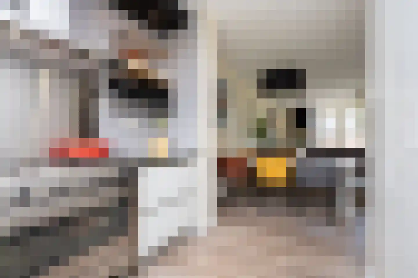 Ad van der Steurzoom 78 Bergschenhoek thumbnail 18