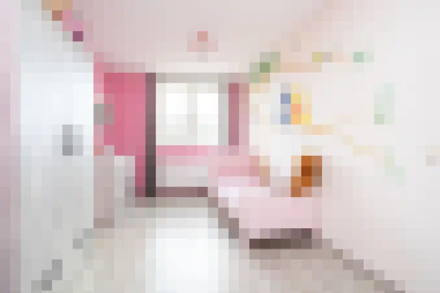 Ad van der Steurzoom 78 Bergschenhoek thumbnail 27