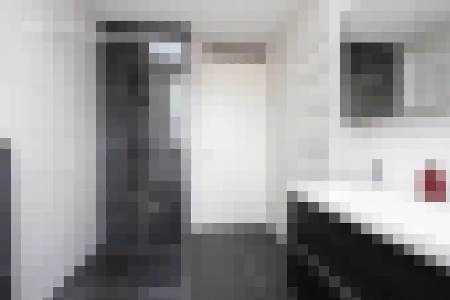 Ad van der Steurzoom 78 Bergschenhoek thumbnail 30
