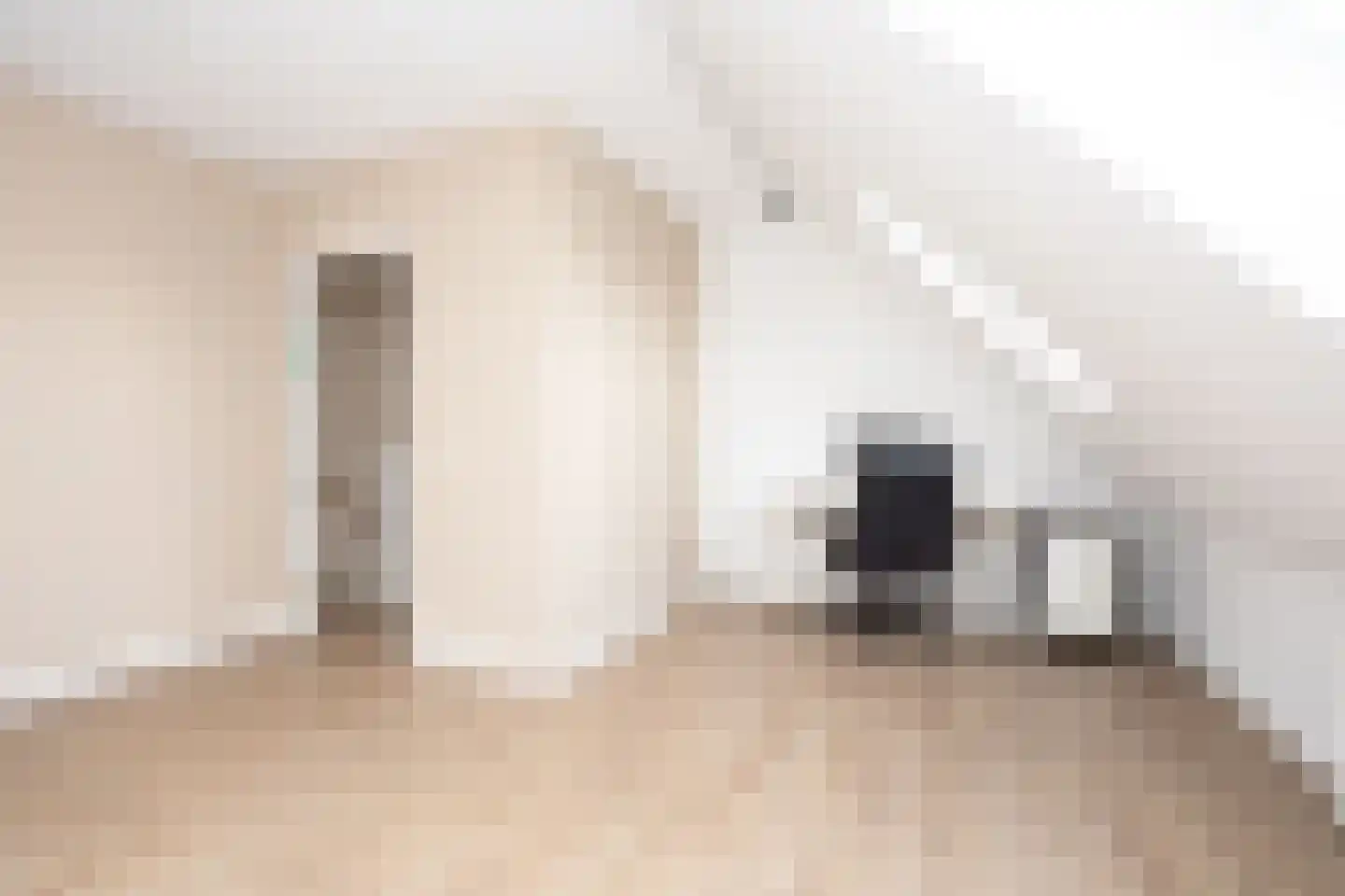 Ad van der Steurzoom 78 Bergschenhoek thumbnail 36