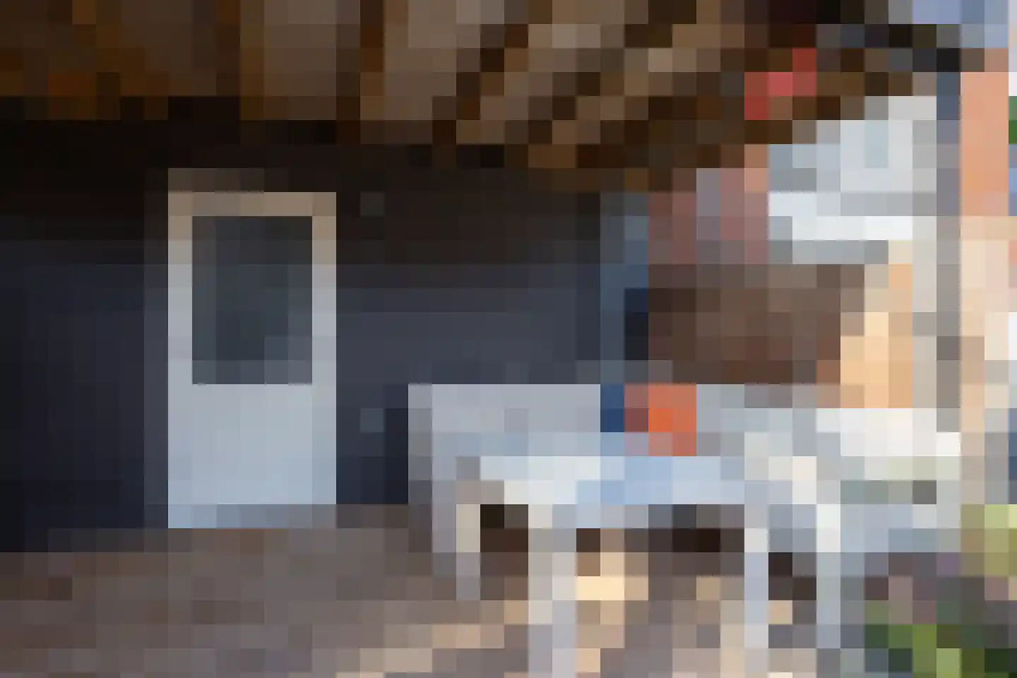 Ad van der Steurzoom 78 Bergschenhoek thumbnail 40