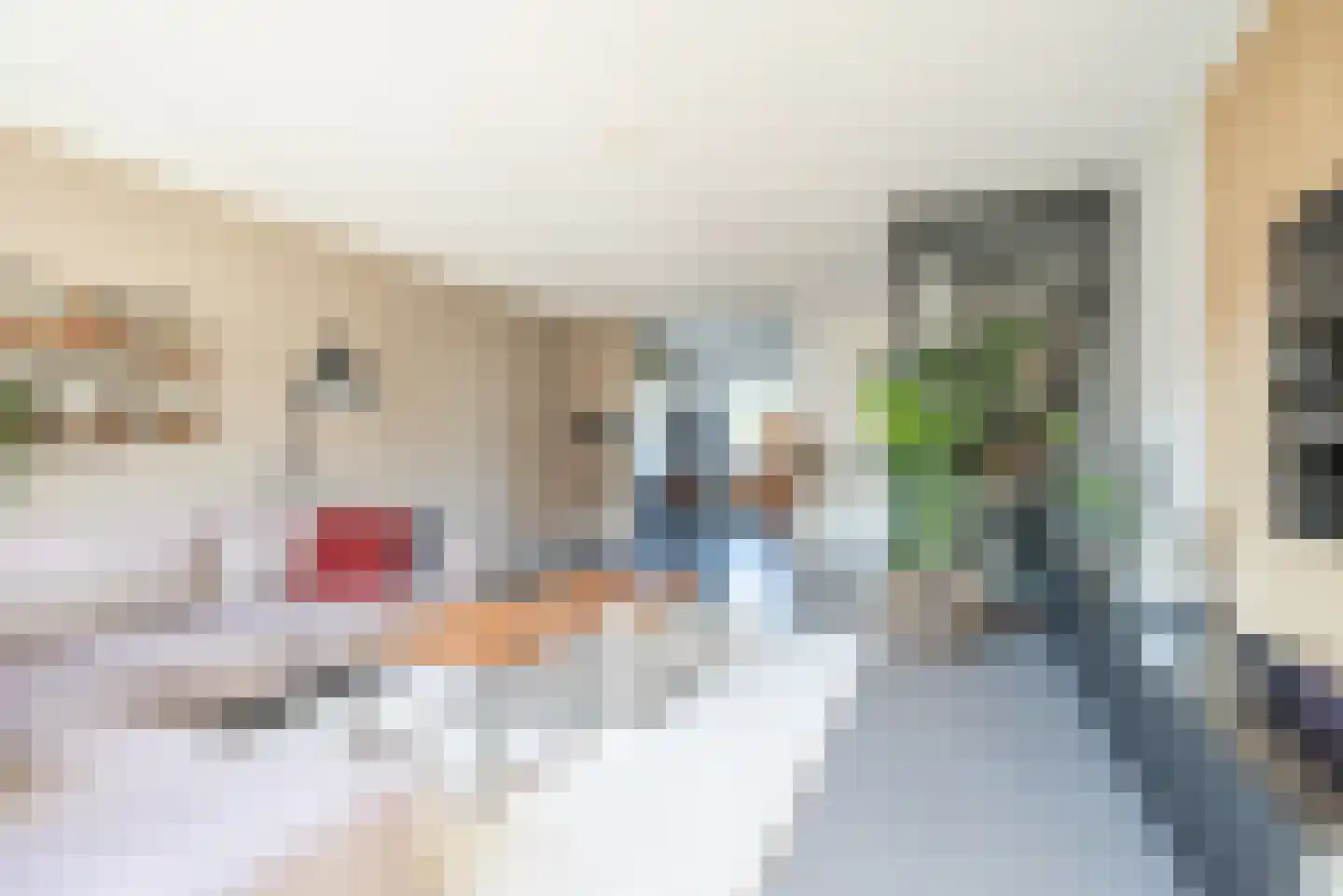 Ad van der Steurzoom 80 Bergschenhoek thumbnail 13