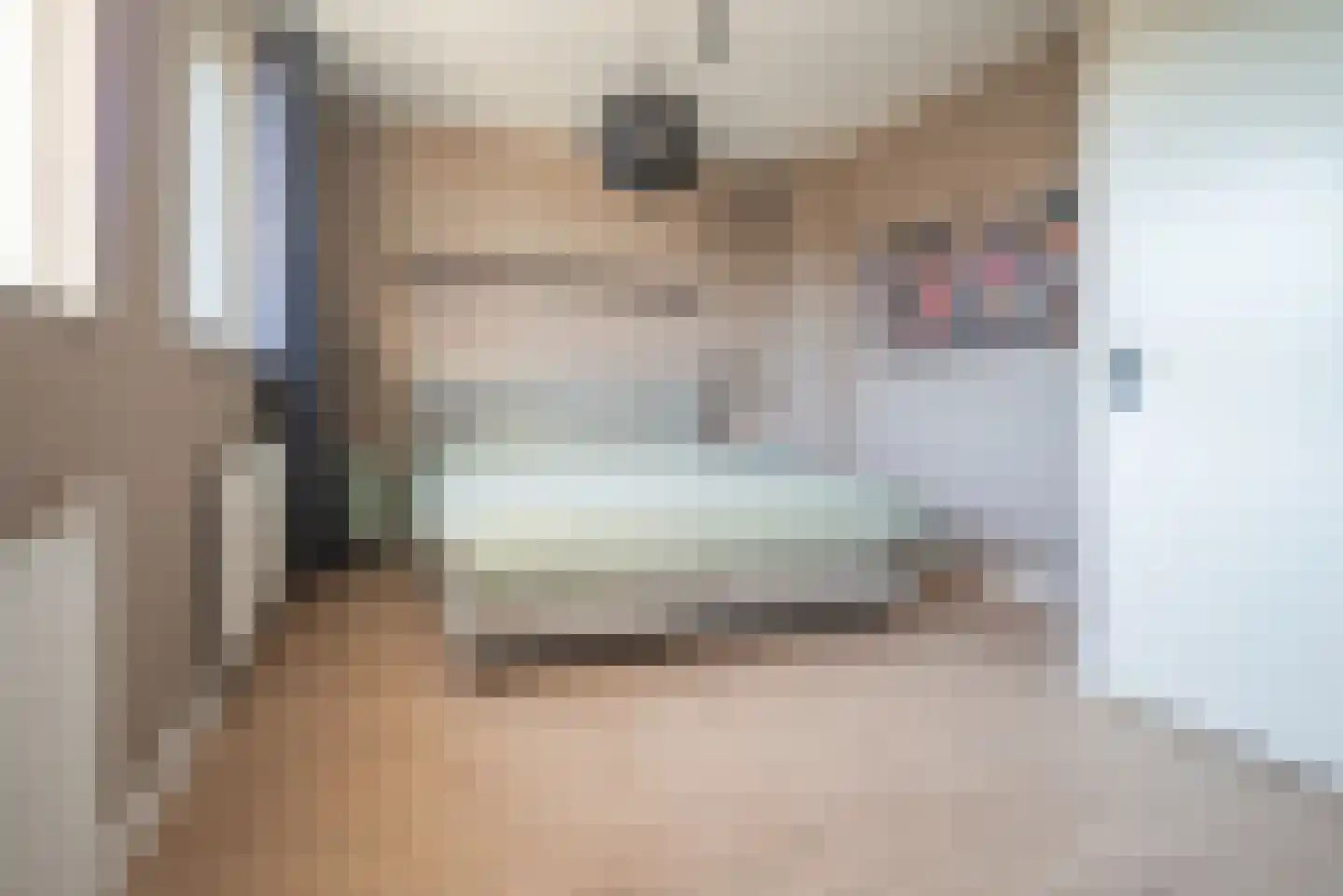 Ad van der Steurzoom 80 Bergschenhoek thumbnail 25