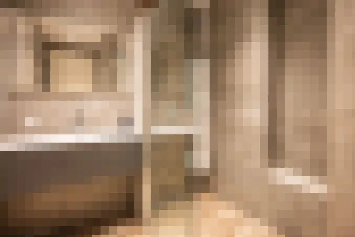 Ad van der Steurzoom 80 Bergschenhoek thumbnail 31