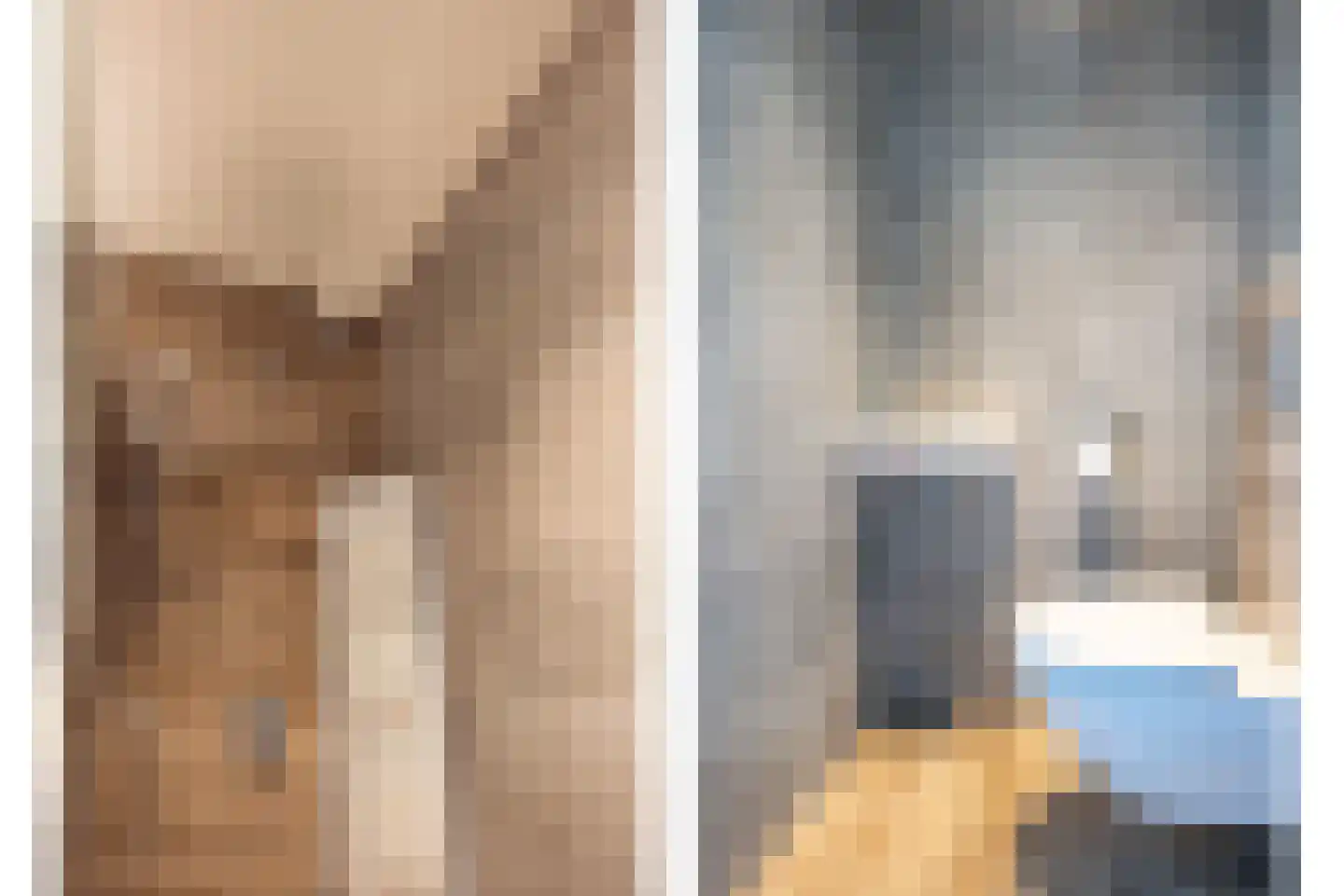 Ad van der Steurzoom 80 Bergschenhoek thumbnail 32
