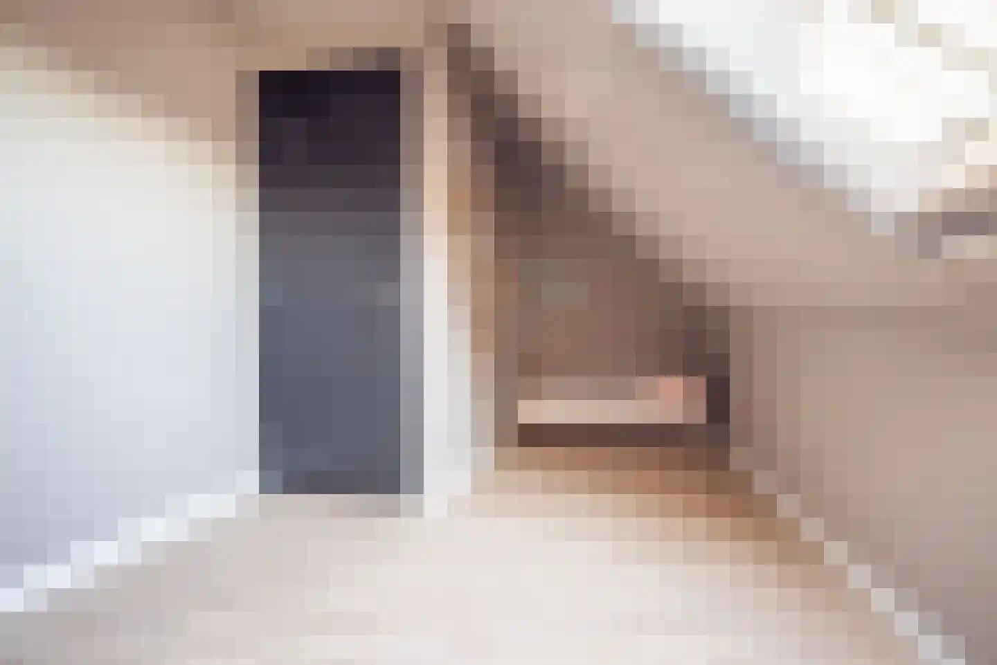 Ad van der Steurzoom 80 Bergschenhoek thumbnail 34