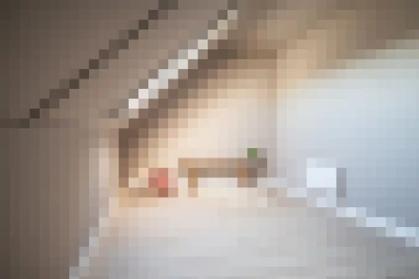 Ad van der Steurzoom 80 Bergschenhoek thumbnail 35