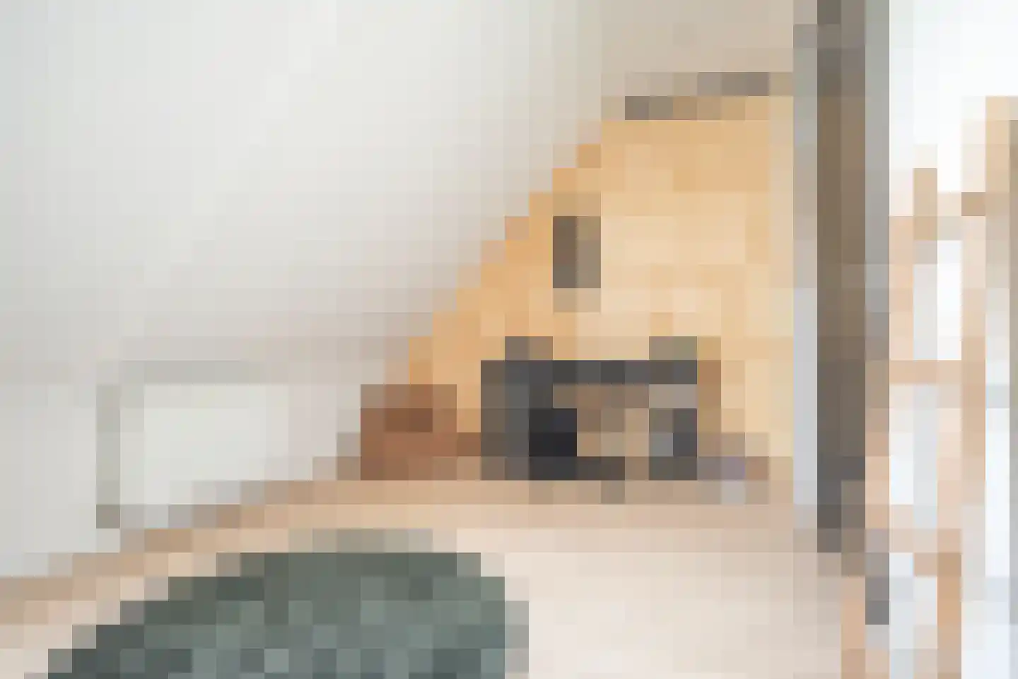 Ad van der Steurzoom 80 Bergschenhoek thumbnail 36