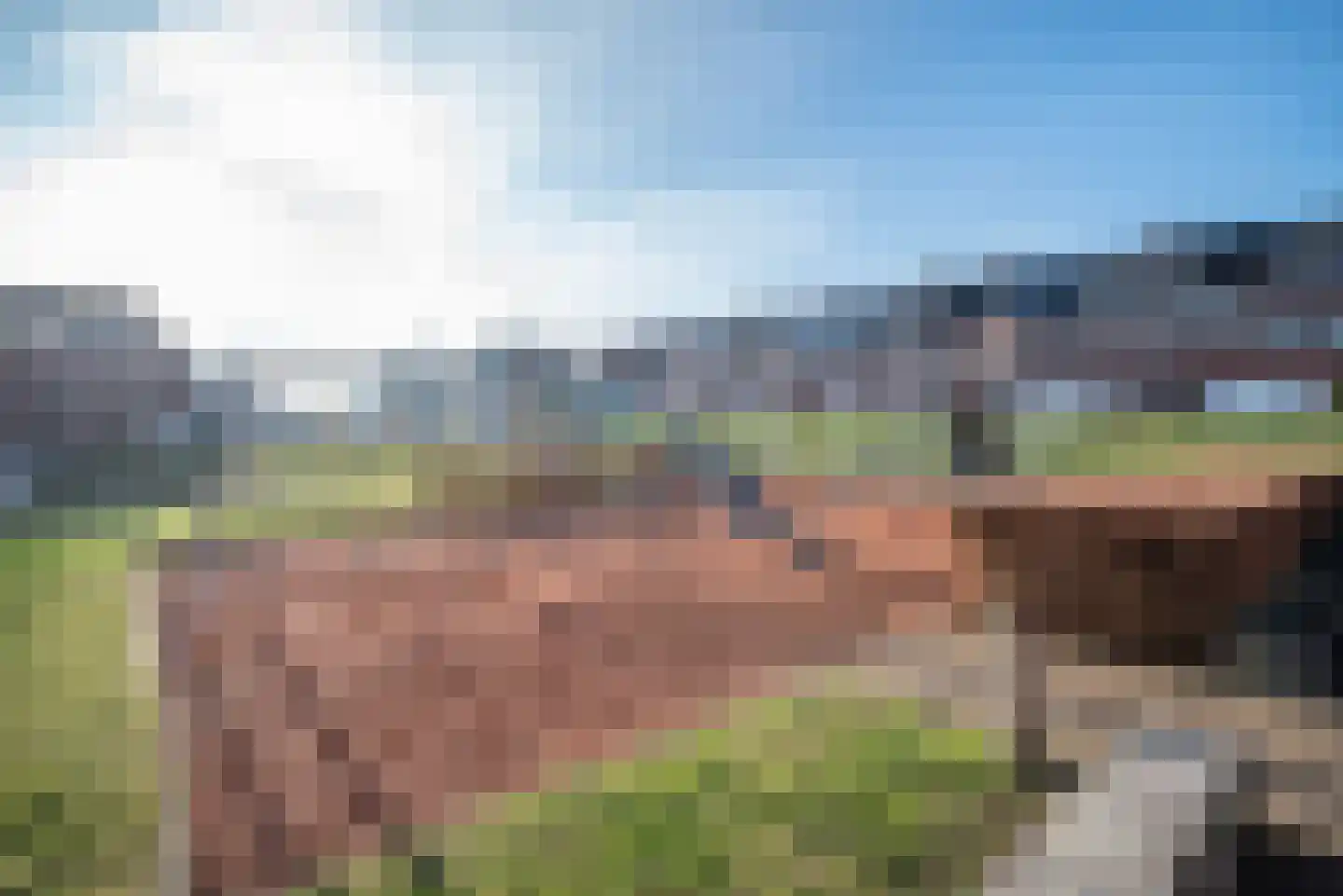 Ad van der Steurzoom 80 Bergschenhoek thumbnail 43
