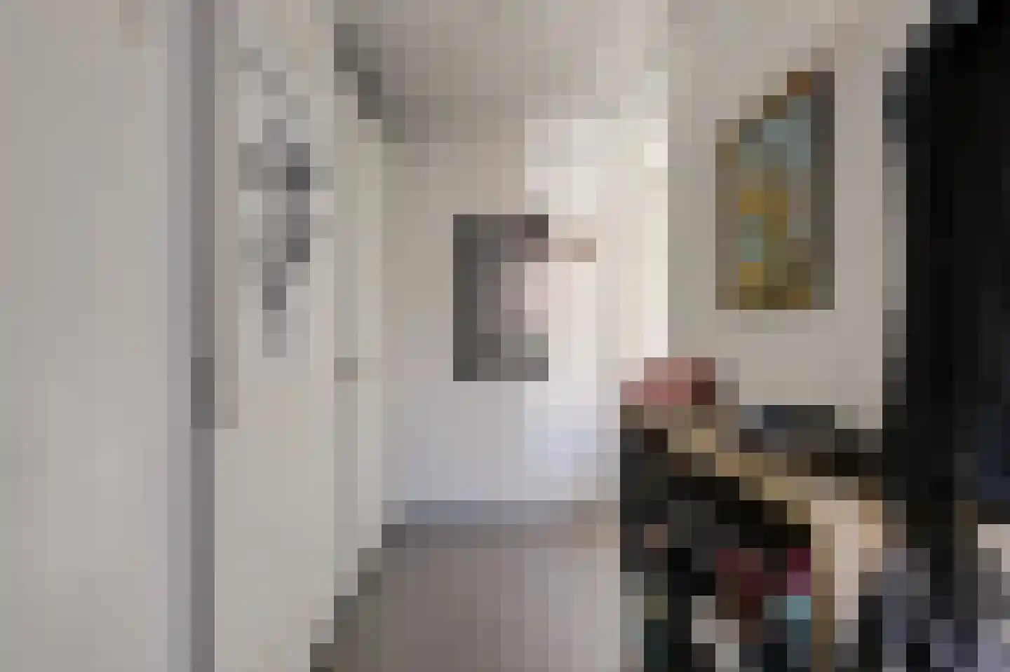 Ad van Onzenoorthof 3 Geertruidenberg thumbnail 14