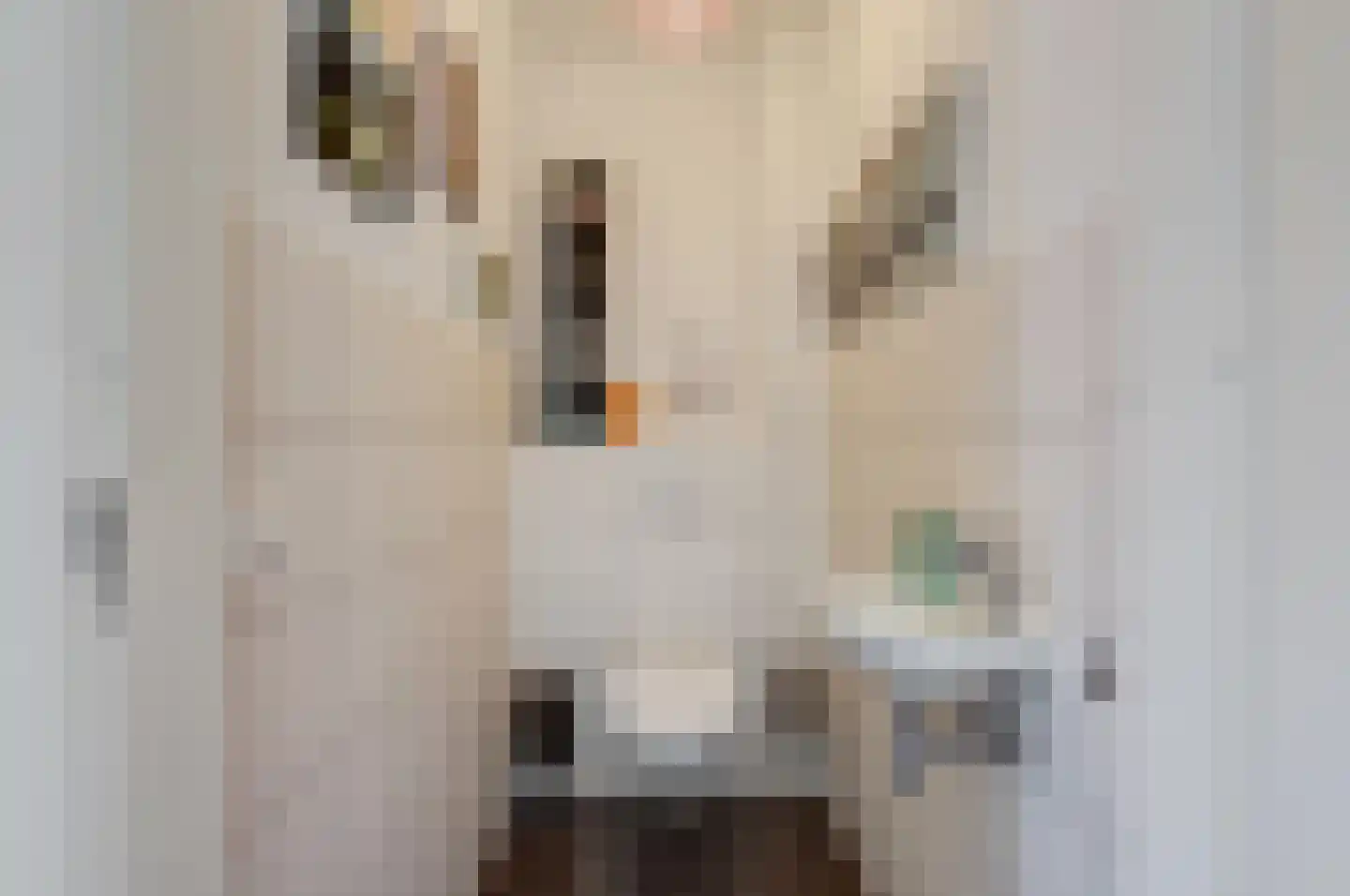 Ad van Onzenoorthof 3 Geertruidenberg thumbnail 23