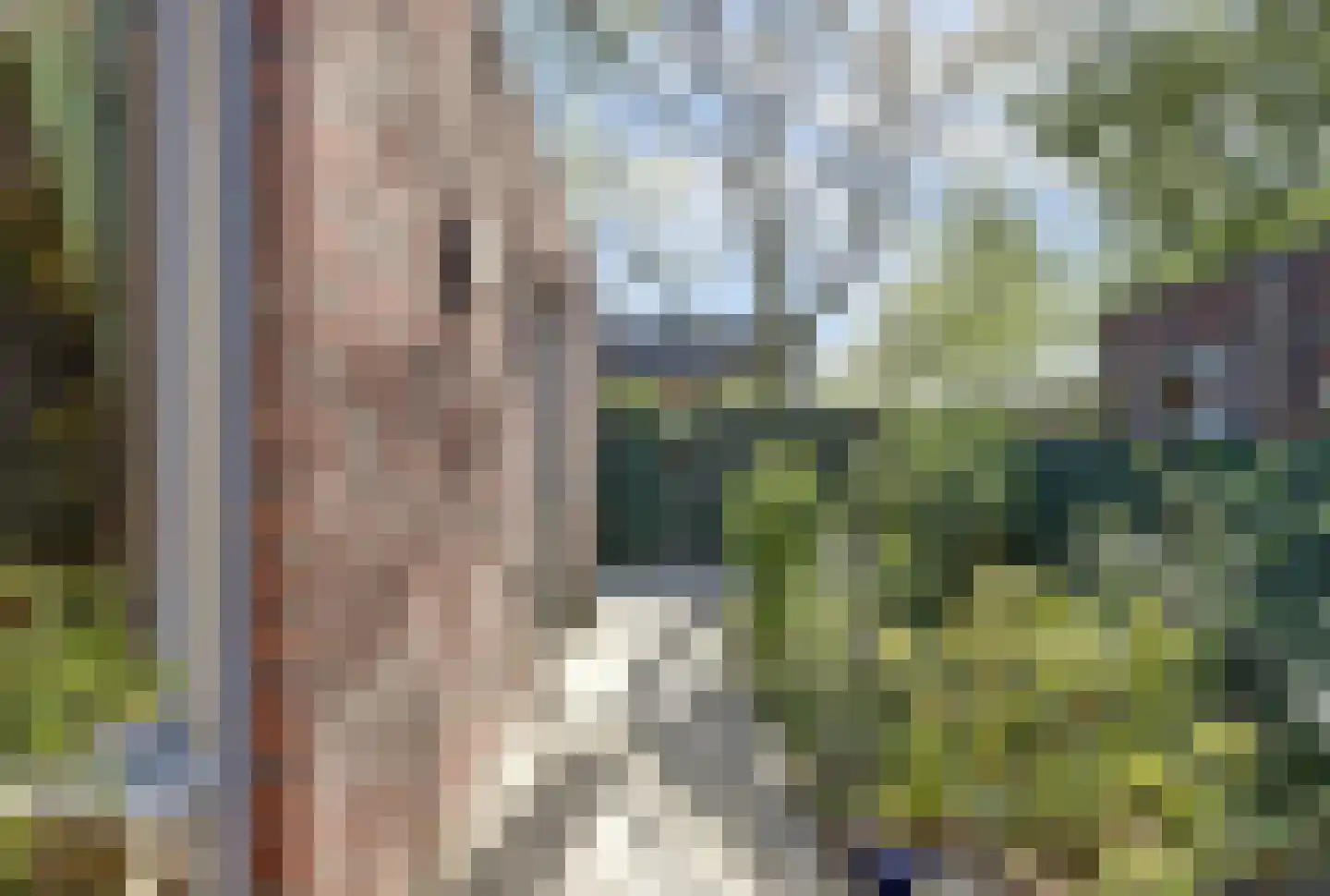 Ad van Onzenoorthof 3 Geertruidenberg thumbnail 27