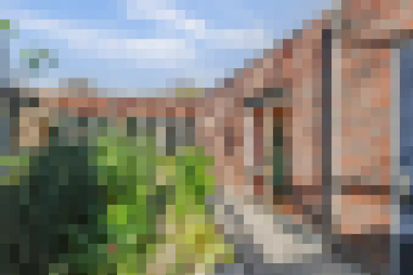 Ad van Onzenoorthof 3 Geertruidenberg foto 3