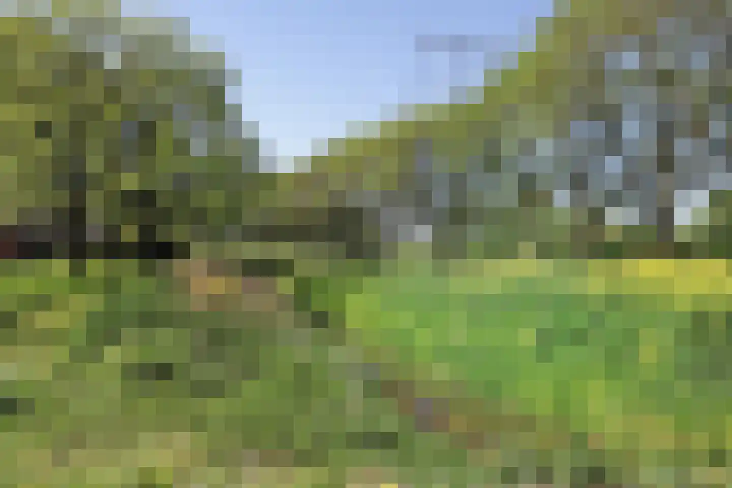 Ad van Onzenoorthof 3 Geertruidenberg thumbnail 35