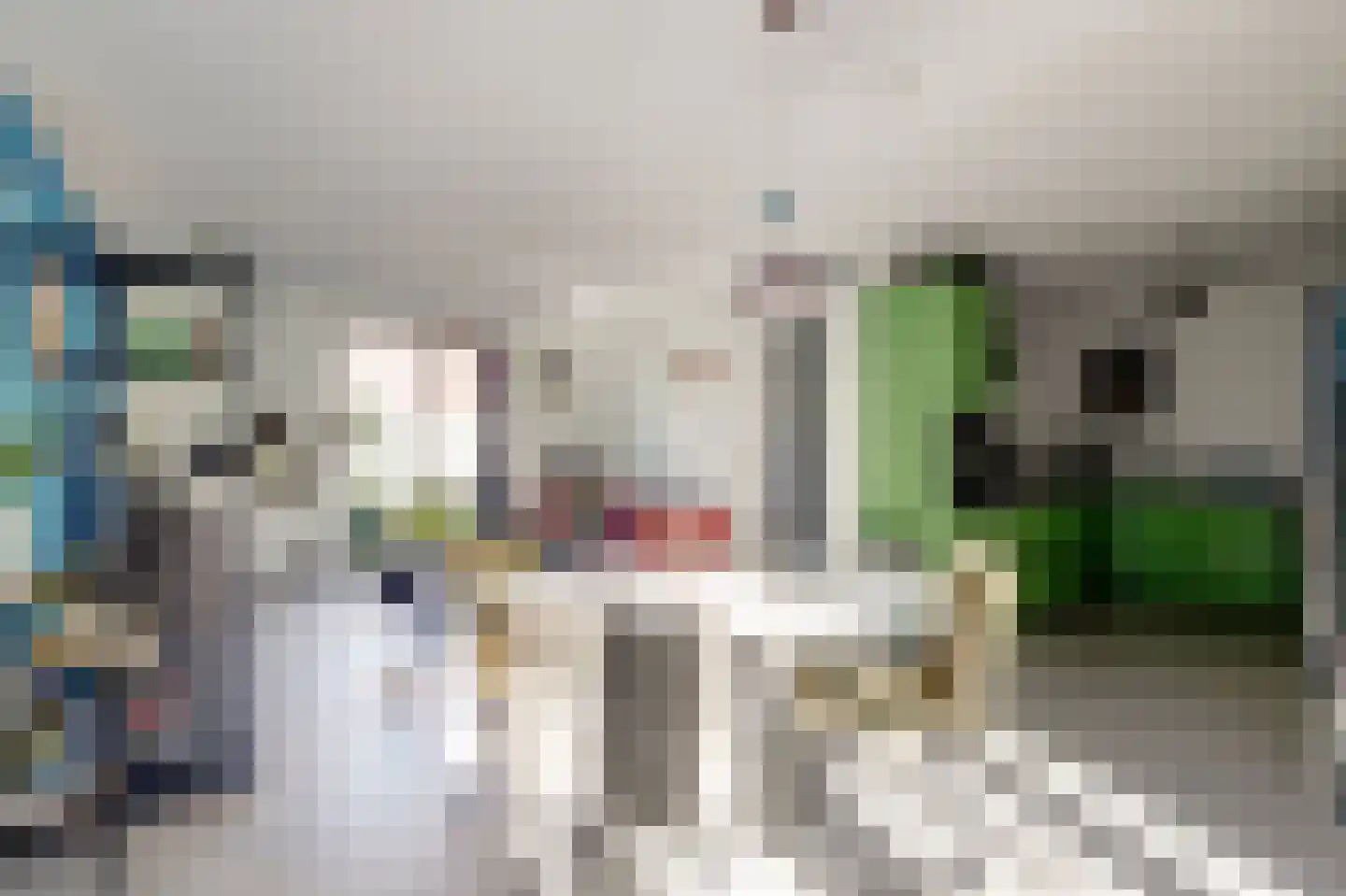 Ad van Onzenoorthof 3 Geertruidenberg thumbnail 5